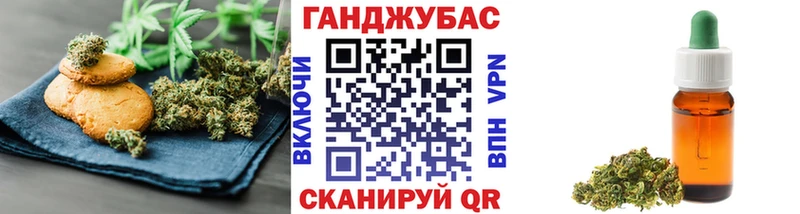 Cannafood конопля  Мураши 