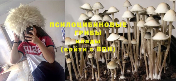 ALPHA PVP Алзамай